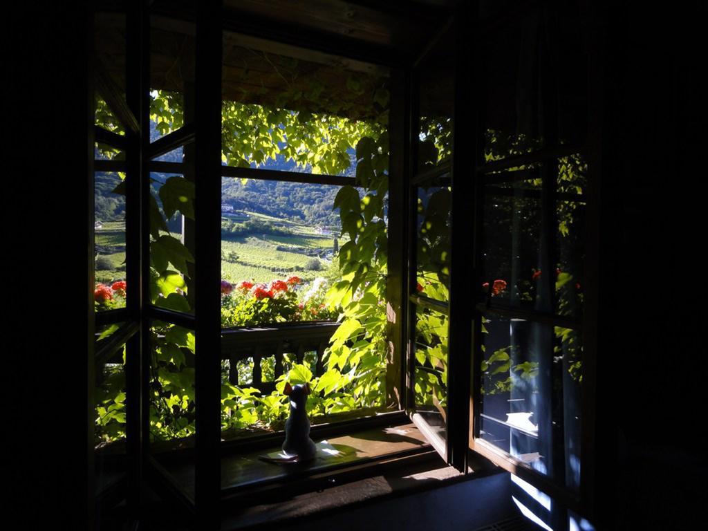 Villa Bertagnolli - Locanda Del Bel Sorriso Тренто Екстер'єр фото